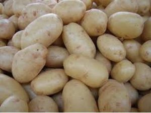 bolsa patatas blancas castellon