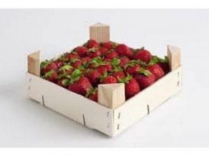 caja fresas castellon