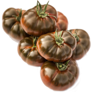 tomate iberico castellon