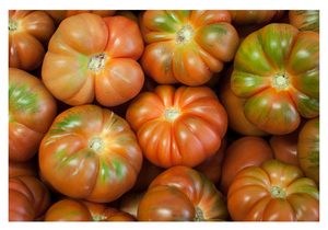 tomate raff castellon