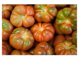 tomate raff castellon